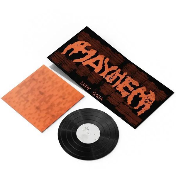 Виниловая пластинка Lady Gaga - Mayhem (2LP) Black Vinyl Incl. Poster edition ЦБ011137684 фото