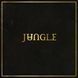 Виниловая пластинка Jungle - Jungle GRS026 фото 1