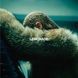 Вінілова платівка Beyonce &ndash; Lemonade GRS078 фото 1